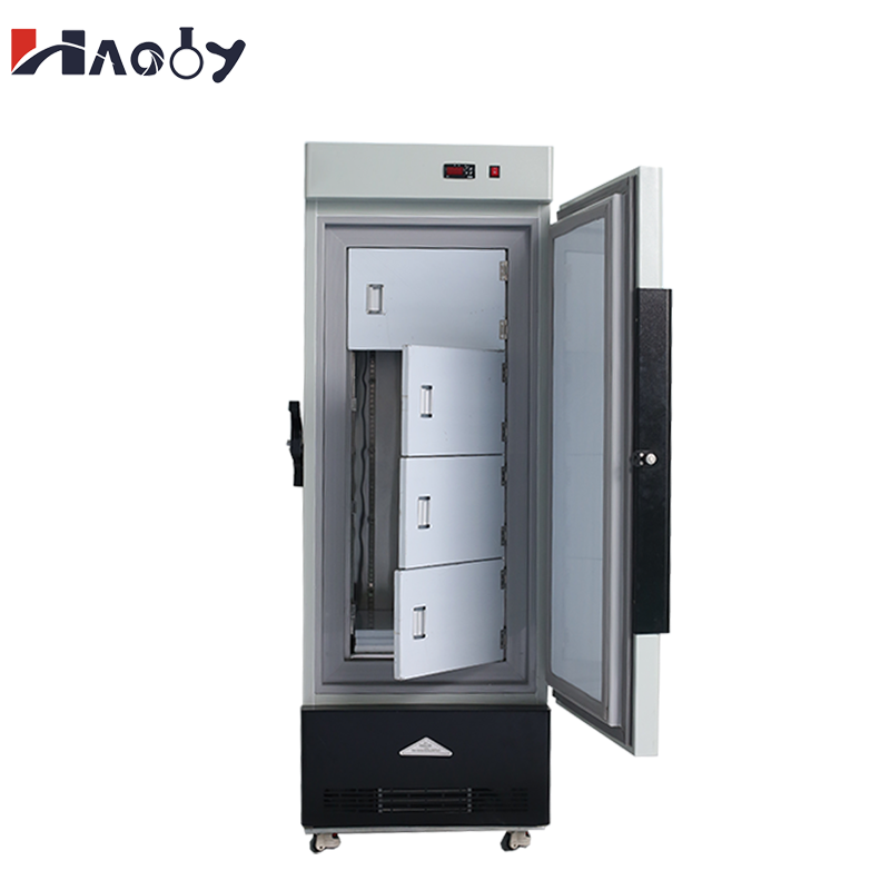 Wholesale 158L Medical Freezer - Medical Lab Iso 评论和价格