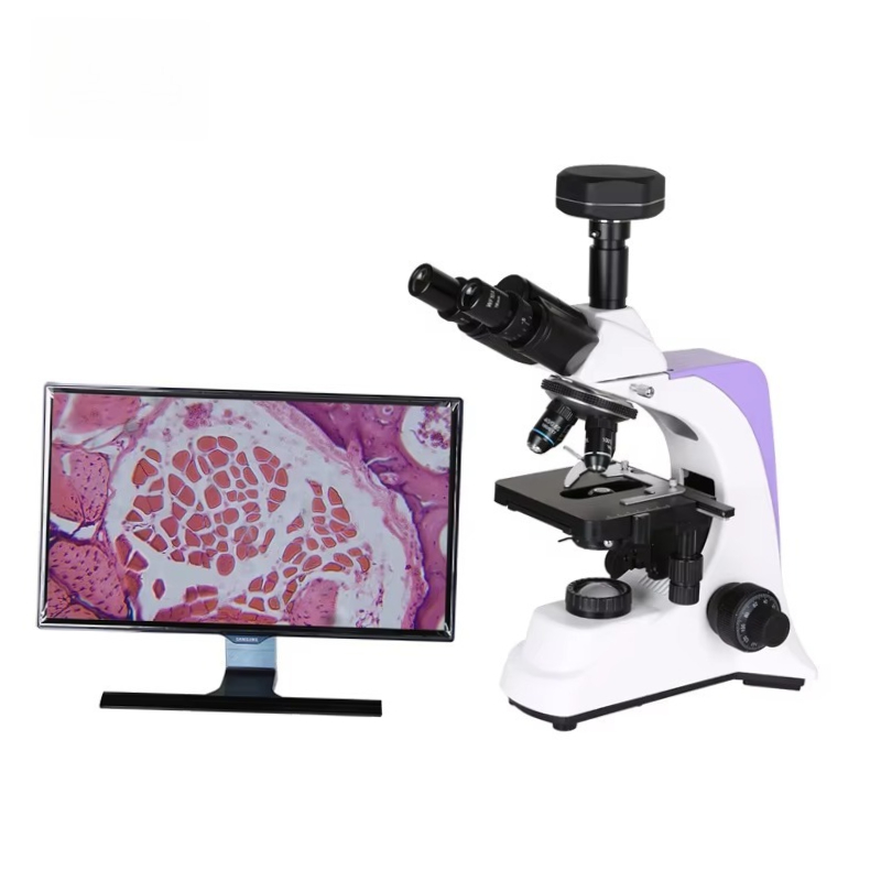 2026 Medical Lab Digital Biolo - Medical Lab Scientist 评论和价格