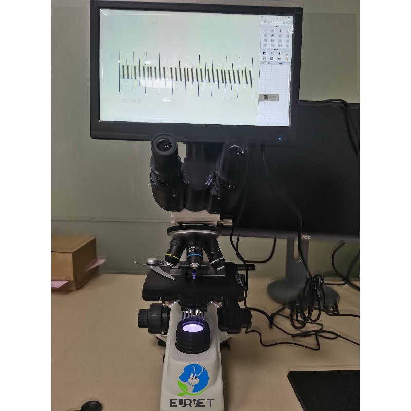 2026 Medical Lab Digital Biolo - Medical Lab Scientist 评论和价格