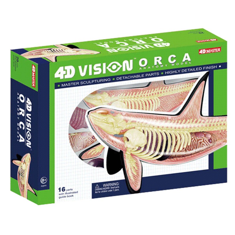 4D Vision Orca Whale Skeleton  - Medical Lab Scientist 评论和价格